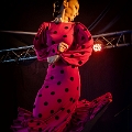 flamenco (87)